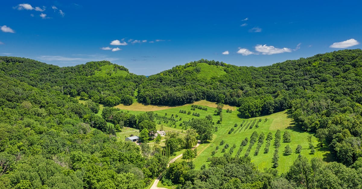 No UFO sightings and landings? - Aerial View of Forest