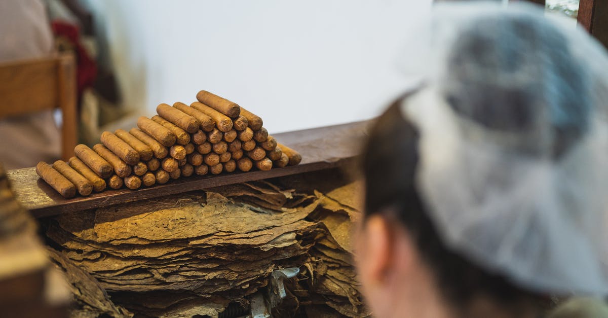 preparing for first reset: how many kittens? - From above back view of crop anonymous female employee in transparent cap preparing tobacco near stack of cigars in fabric