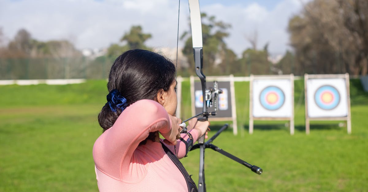 Quest target has yielded. Should I kill him anyway? - Free stock photo of accuracy, aim, archery