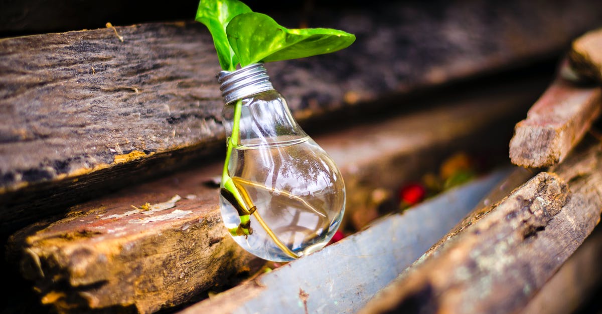 Question about jar files [closed] - Close-up of Beer Bottles on Wood