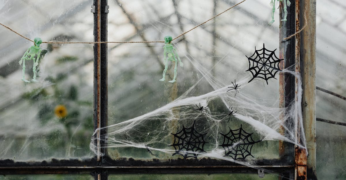 Random unmoving skeletons spawning all over? - Man in Green T-shirt and Black Pants Standing on Spider Web