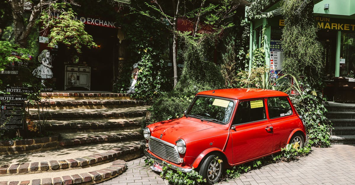 Rare or Unique materials in Witcher 3? - Photo of Red Mini Cooper Parked Near Plants