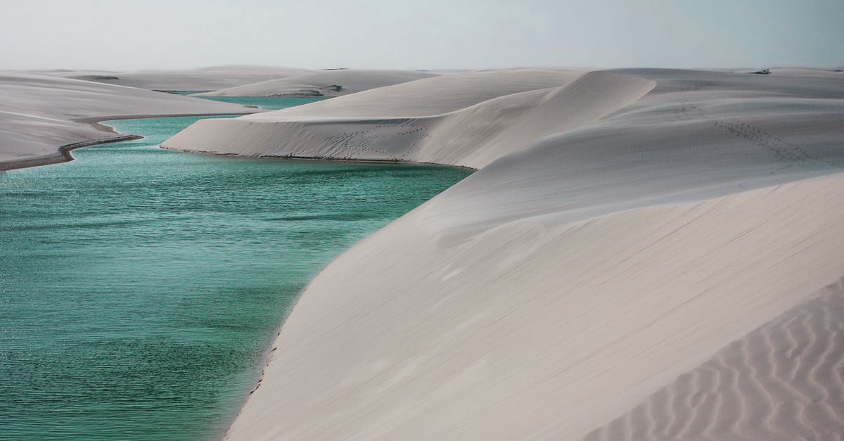 Send baby villagers through flowing water into soul sand elevator - White Sand Beach