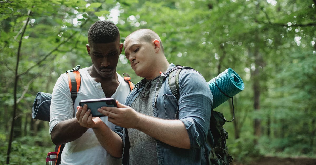 Signal directing on lanes - Focused multi ethnic backpackers watching smartphone while finding location in woodland in daytime on blurred background