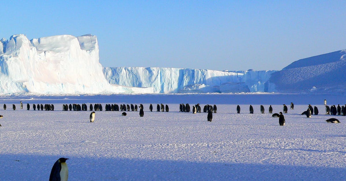 Skyrim Lore: Is the Dragonborn lore of emperor lineage already existing in Oblivion or supplemented later for Skyrim? - Penguins on Ice Skyrim Lore: Is the Dragonborn lore of emperor lineage already existing in Oblivion or supplemented later for Skyrim? - Penguins on Ice