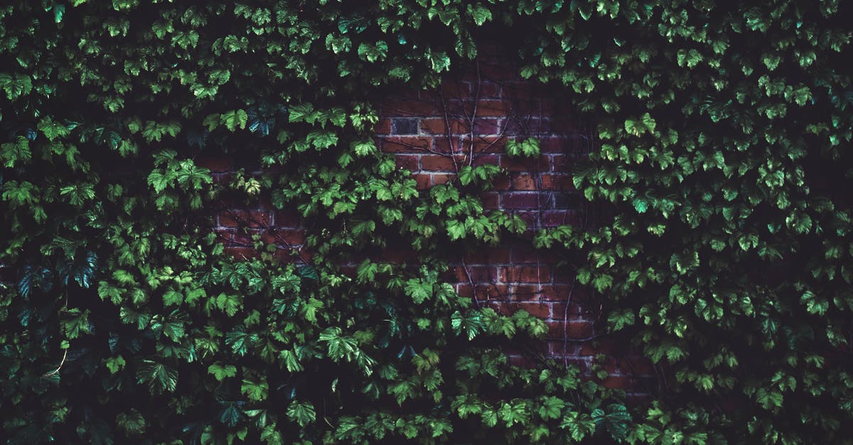 Specific vine wall isn't graspable - Green Plants in Wall Bricks at Daytime