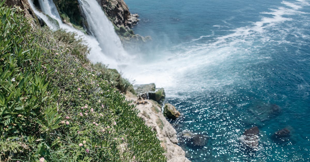 Splash Plate, Sea Incense, Wave Incense, which is best? - Green Grass on Rocky Shore