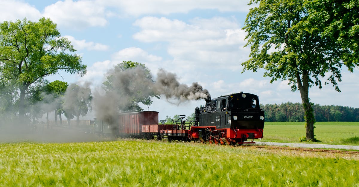 Steam across countries and accounts - Black Train Near Tree