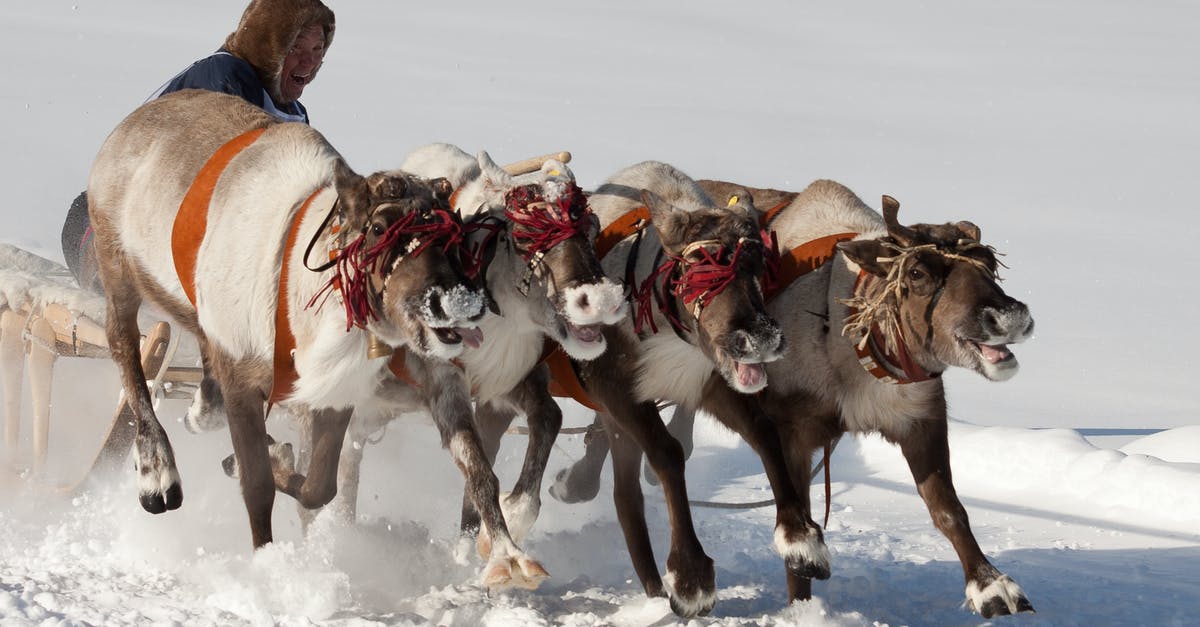 Temple Run 2 - Cannot pass the Slip n Sled Objective - A Set of Ponies Pulling a Sled on Snow Covered Ground