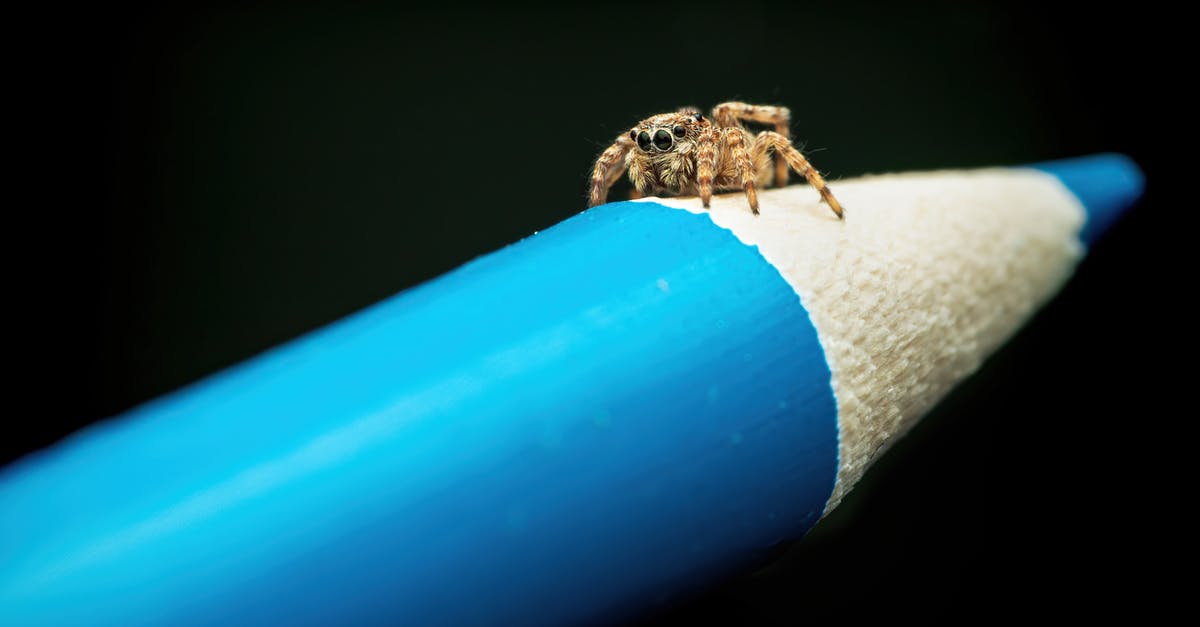 Unexplained object appearing near habitat - Brown spider on blue pencil