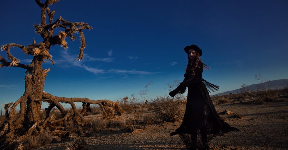 Unsold Atari videogames dumped in a desert? - Woman in Black Dress Standing on Brown Field Under Blue Sky