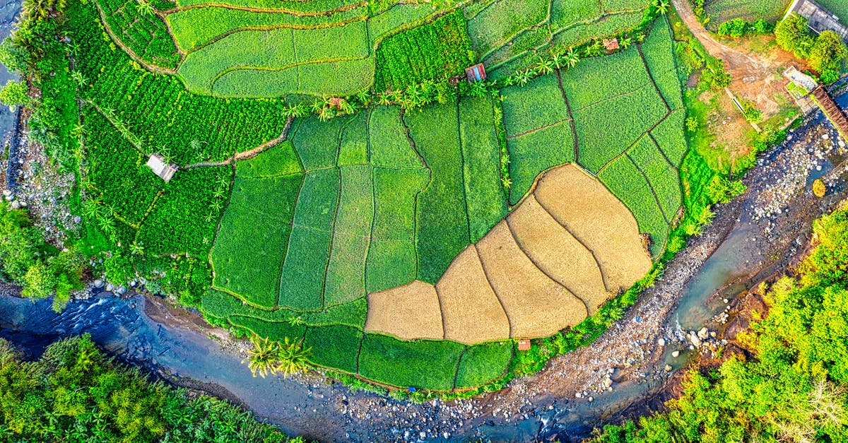 Viability of quickly farming ender eyes from pre-1.8 villager trades - Aerial Photography of Green Field