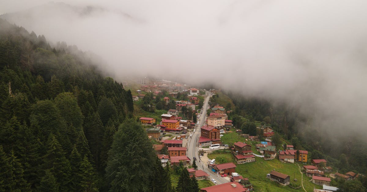 village overwritten - Green Trees and Houses Under White Clouds