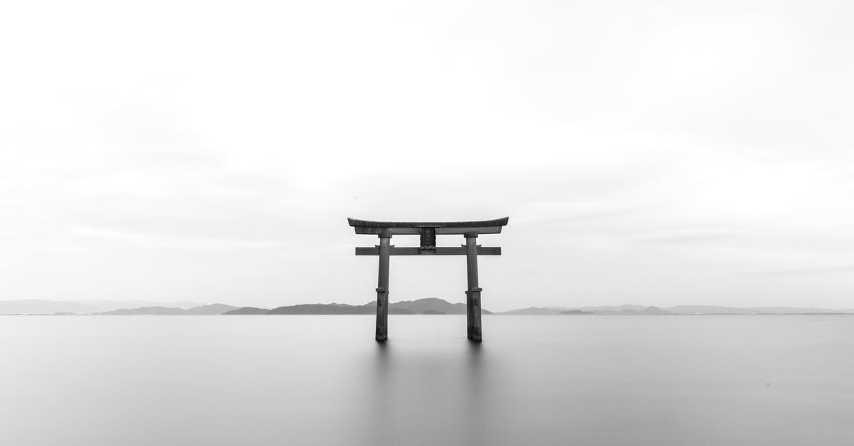 What's going on with the fog at Firelink Shrine? - Pagoda in Gray Scale Shot