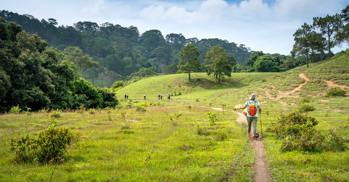 What's the cheapest way to discover all dealerships? - Tourists walking along footpath in green national park