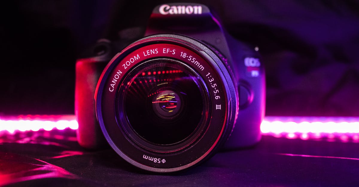 What actually defines Fallout canon, and why should it be Bethesda? - Canon SLR Camera Illuminated by Purple Led Lights