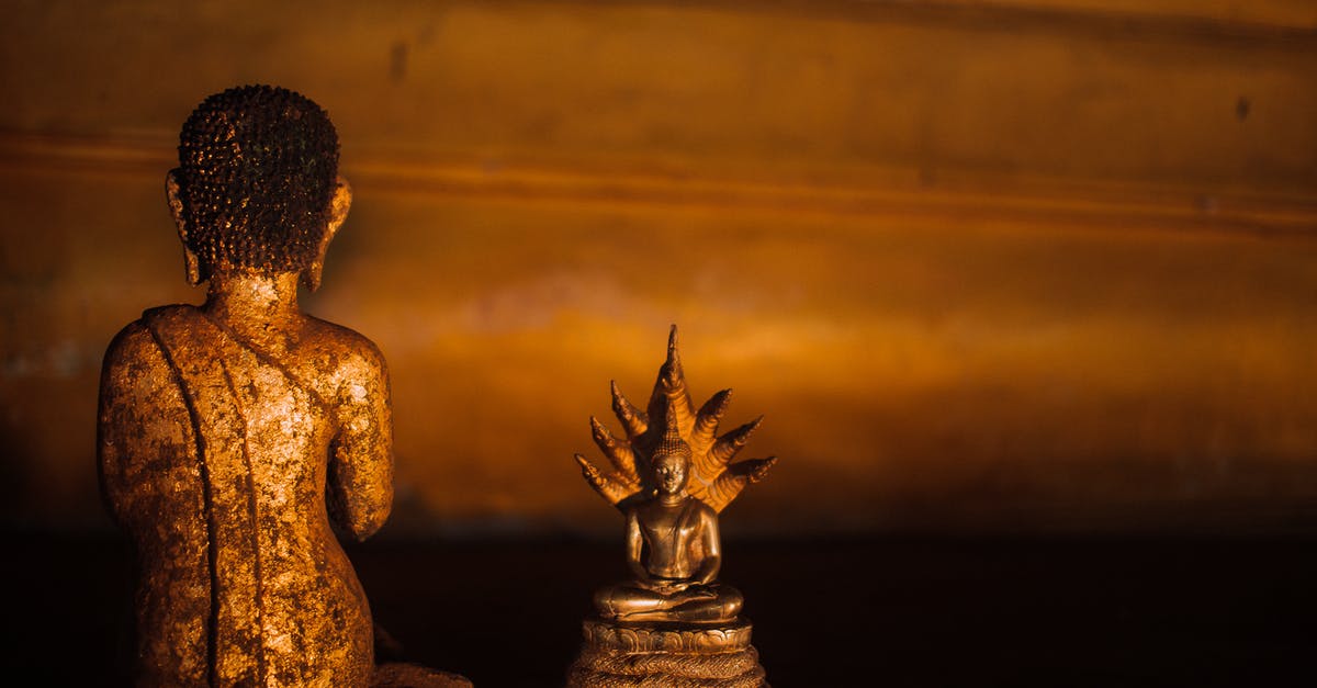 What are the chances of encountering a shiny Ultra Beast? [duplicate] - Gold Buddha Figurine on Brown Wooden Table