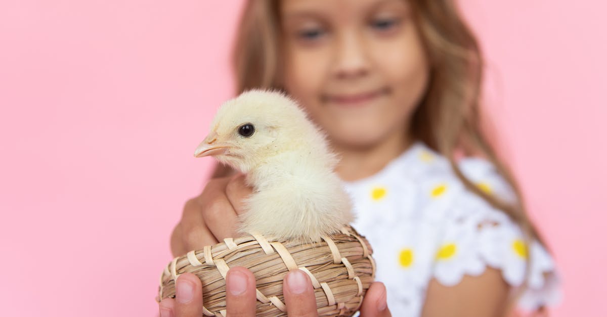 What are the consequences of leaving my chicken in a mine? - Woman in Yellow and White Floral Shirt Holding Brown and White Chick