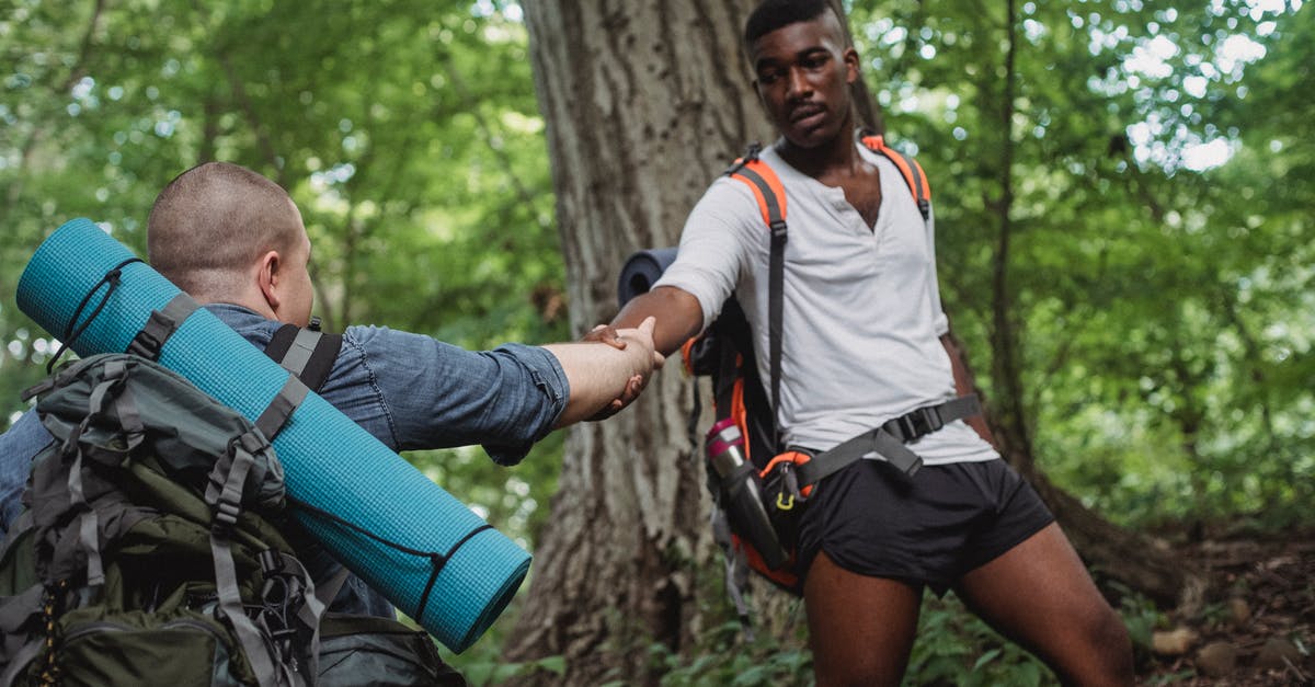 What are the secret achievements in Day of the Tentacle? - Focused African American traveler lending hand for faceless backpacker next to tree in forest in daytime