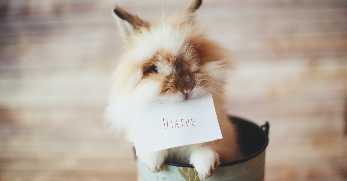 What can pets be used for? - Selective Focus Photo of Guinea Pig Holding Card