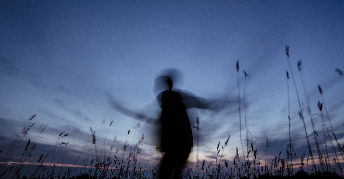 What colour is Pac-Man? - Silhouette of Man Standing on Grass Field during Night Time