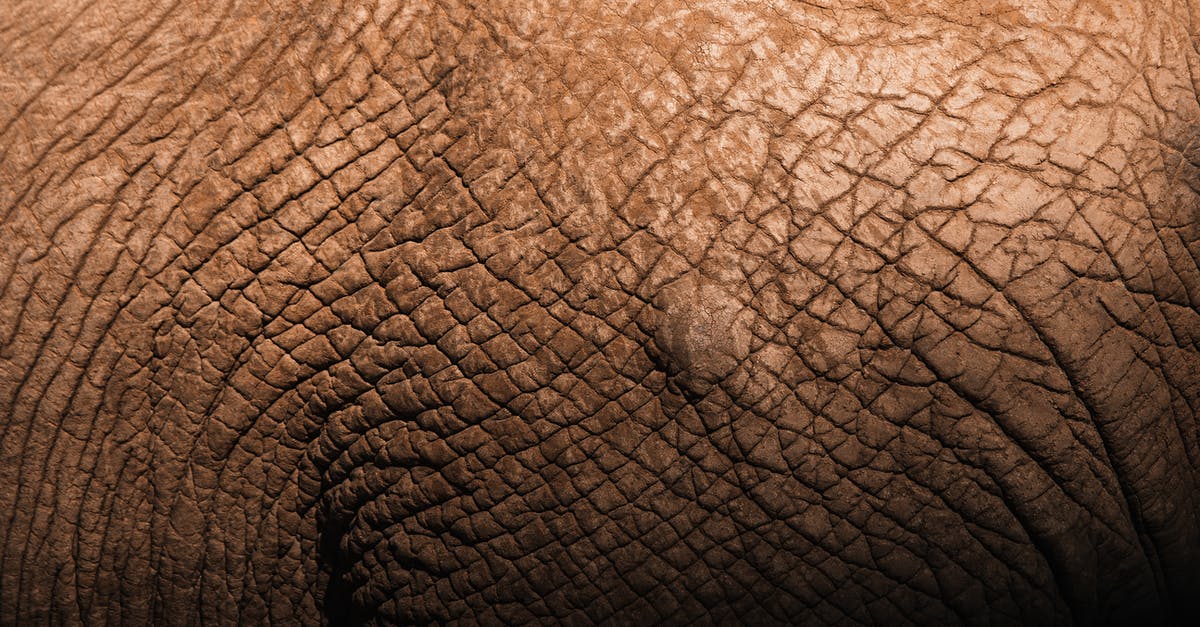 What combination of Steering Sensitivity and Non-linearity minimizes turning during straight-line 140 kph driving? - Closeup backdrop of tough brown elephant skin with decrepit texture and uneven surface in daylight What combination of Steering Sensitivity and Non-linearity minimizes turning during straight-line 140 kph driving? - Closeup backdrop of tough brown elephant skin with decrepit texture and uneven surface in daylight
