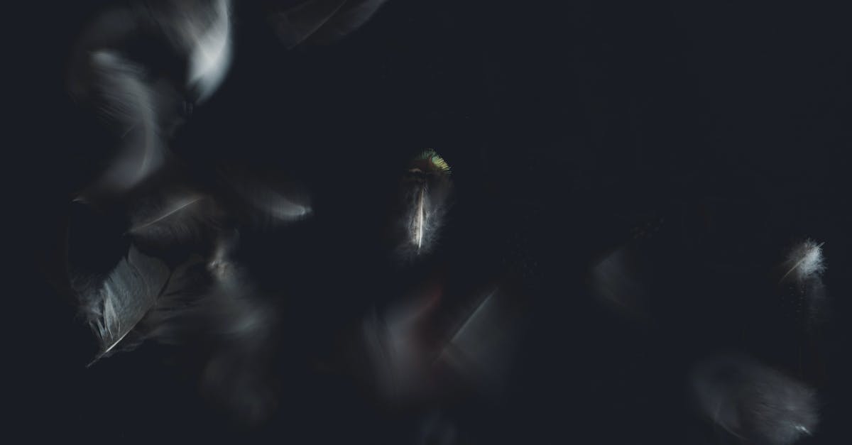 What determines how many merit points a lost satchel is worth? - From above of similar wavy feathers with delicate texture on pointed sticks and haze effect on black surface in twilight What determines how many merit points a lost satchel is worth? - From above of similar wavy feathers with delicate texture on pointed sticks and haze effect on black surface in twilight