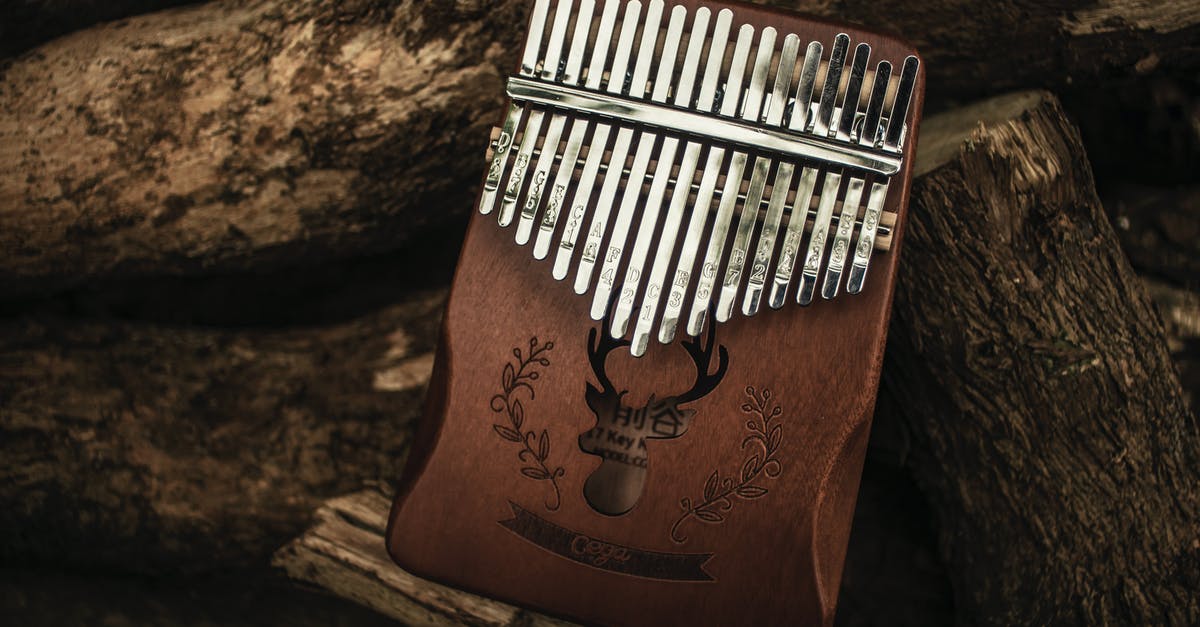 What does a Void Resonator do? - Wooden mbira with metal parts and decorative pattern placed on fallen trunks of trees