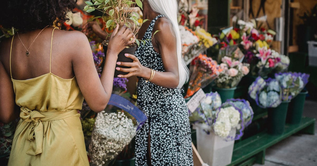 What does buying a wish in Sega's Aladdin do? - Woman in Yellow Sleeveless Dress Holding Bouquet of Flowers