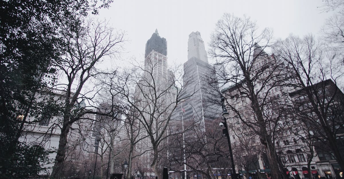 What does new Streetpass Quick Plaza do? - Low angle of contemporary skyscrapers surrounded by trees with dry branches near plaza with metal fence under serene sky in afternoon