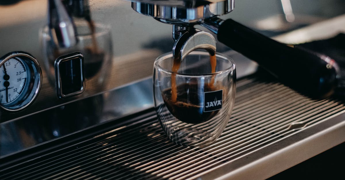 What does the grey portion of the experience bar denote? - Modern professional coffee machine pouring freshly brewed aromatic ristretto into small glass cup in coffee shop