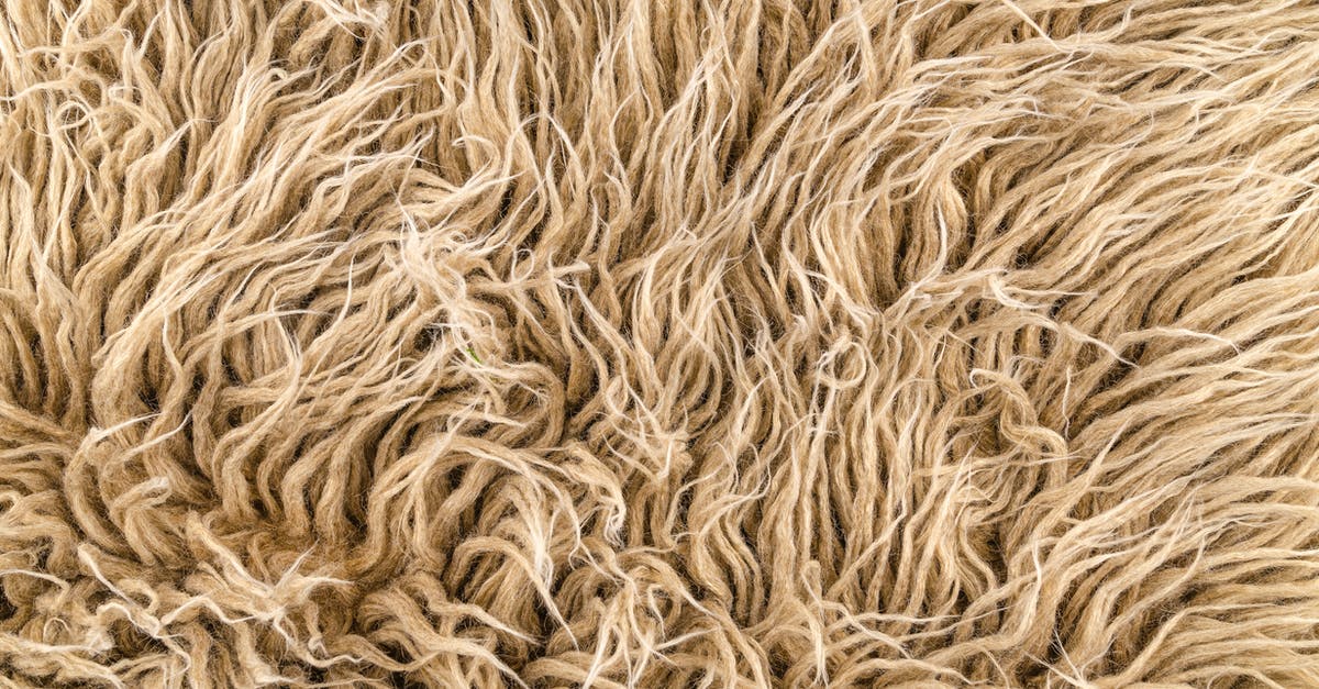 What does the neutral colony do? - Close-Up Photo of Brown Furry Texture