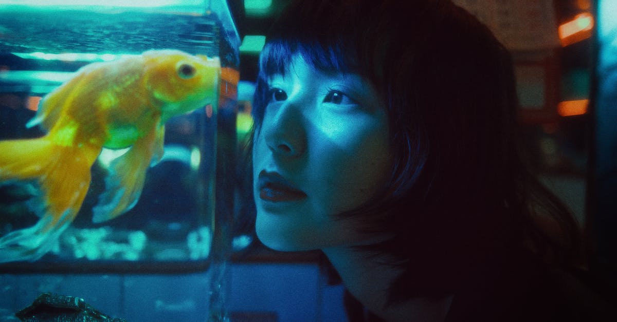 What does the transparent circle around an animal tracker on the compass mean? - Side view of curious Asian female looking at goldfish swimming in aquarium in dark room