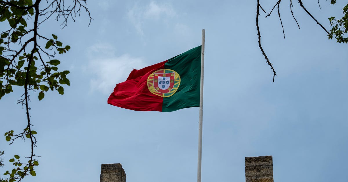 What does this Terraria flag mean? - Close-Up Shot of Portugal Flag