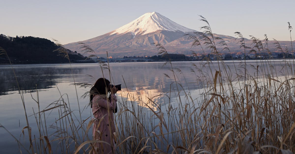 What evidence shows that Mr. Fuji is the same person as Dr. Fuji? - Woman Taking Picture Near Lake With View of Mount Fuji