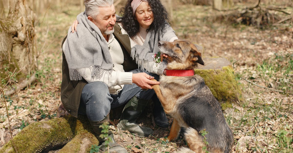 What happens if I don't give my dog water? - Happy elderly couple strolling in forest with dog