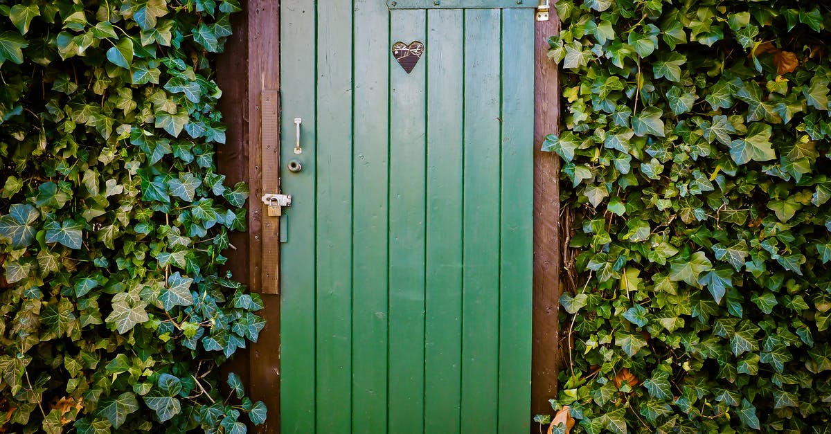 What happens if the level exit is crushed by spikes? - Green Door and Green-leafed Plants