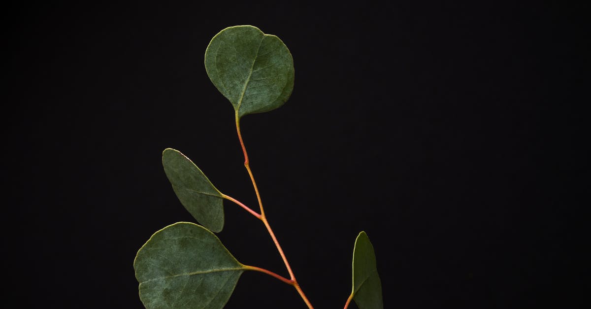 What is a streak of ten? - Green leaves on black background