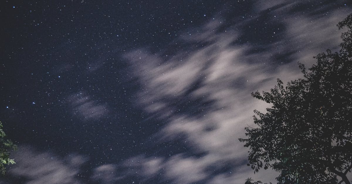 What is an Astral Node? - Scenery of night starry sky shining through tree branches