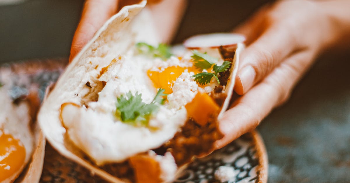 What is Special about Yoshi's Egg Shield? - Person Holding White Ceramic Plate With Orange and Green Dish