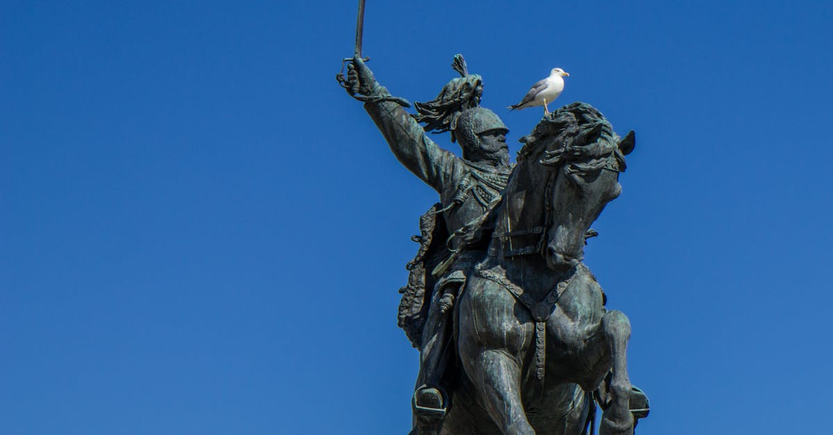 What is the Ancient Vampire Sword for in Skyrim? - Seagull Sitting on Monument of Man on Horse