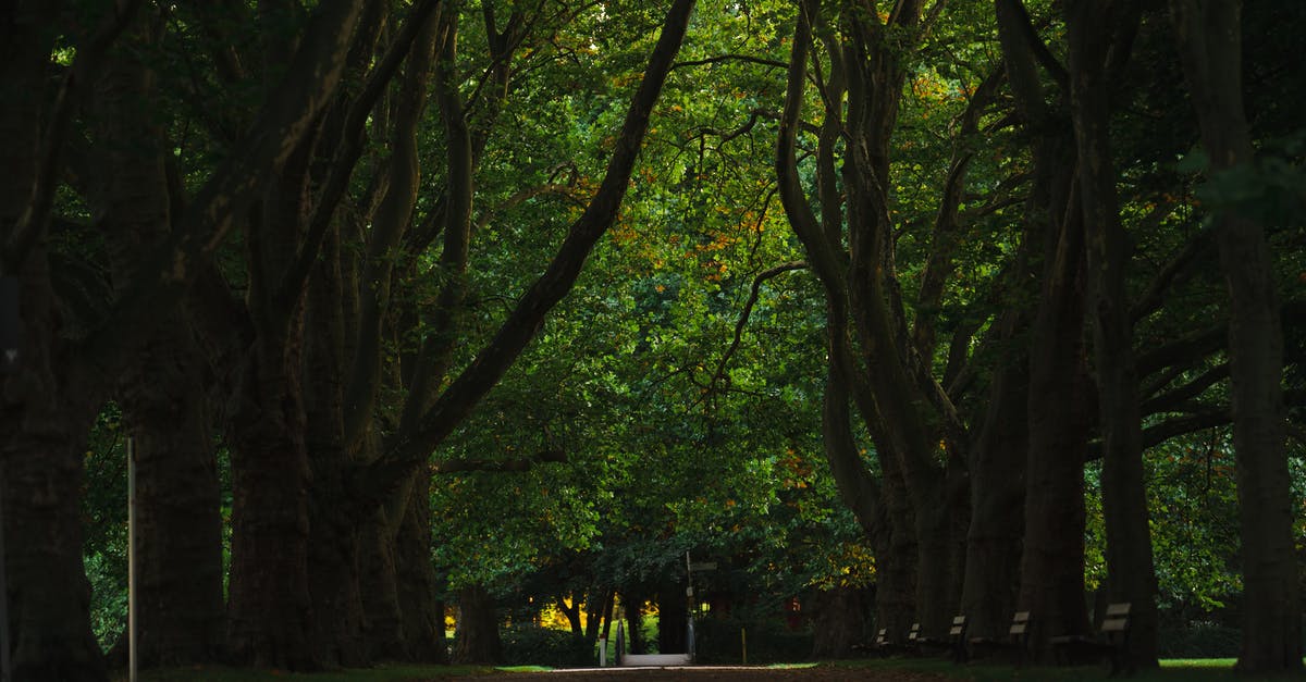 What is the difference between Encounters and Events? - Green Trees on Brown Soil