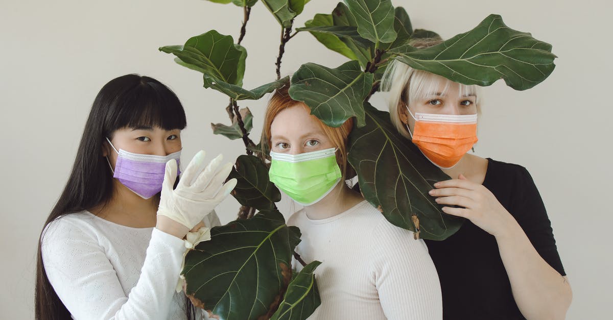 What is the highest DPS plant? - Woman in White Long Sleeve Shirt Holding Green Plant