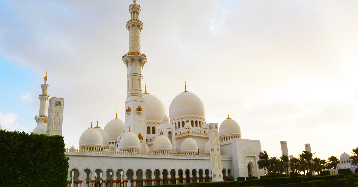 What is the highest DPS plant? - White Mosque Near Trees