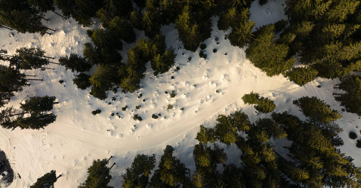 What is the meaning of Separation Radius for ground units? - Pine Trees on Snow Covered Ground