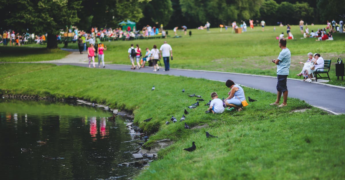 What is the optimal time between tree harvests? - Feeding the pigeons