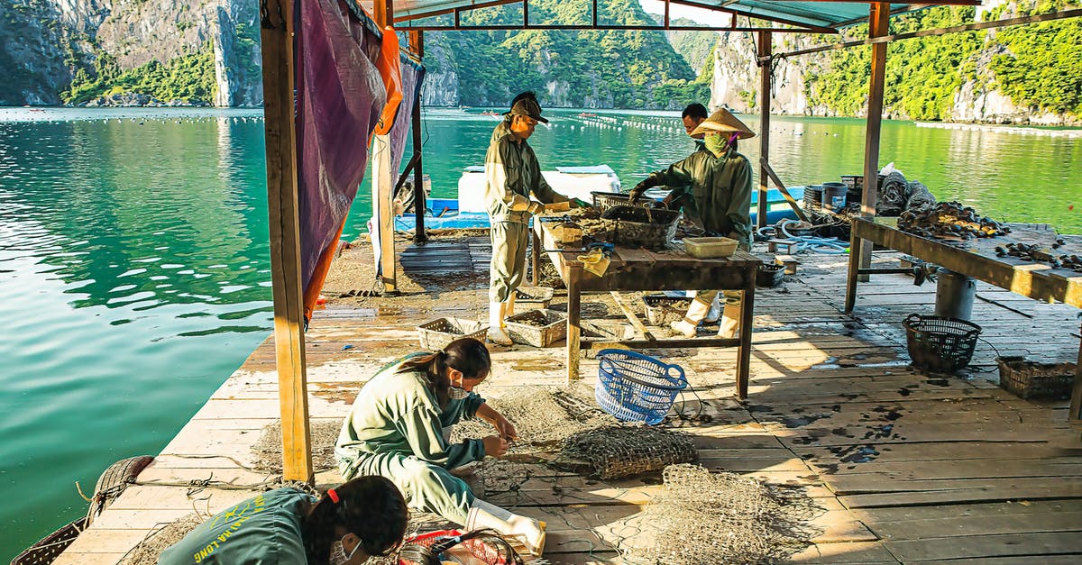 What is the use of making dinosaurs poop in Ark? - People Making Fishnets on a Wooden Pier 