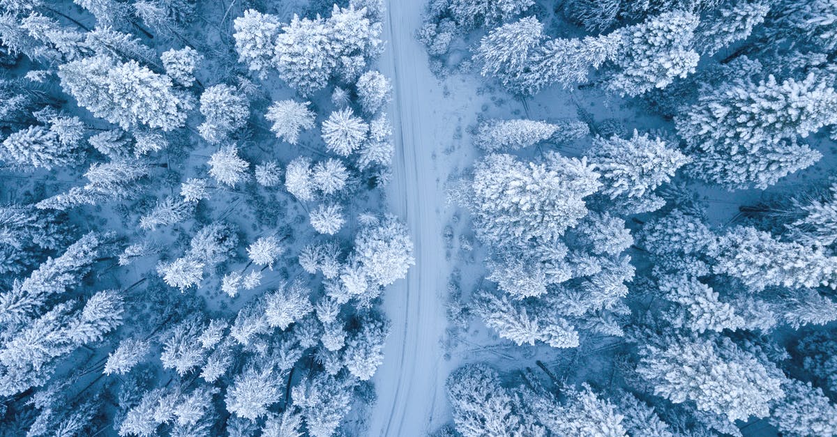 What path for the heli pilot is best? [closed] - Aerial Photography of Snow Covered Trees