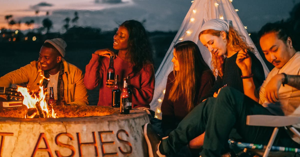 What should be burned to get ashes in Don't Starve? - Group of Friends Sitting in Front of Fire Pit