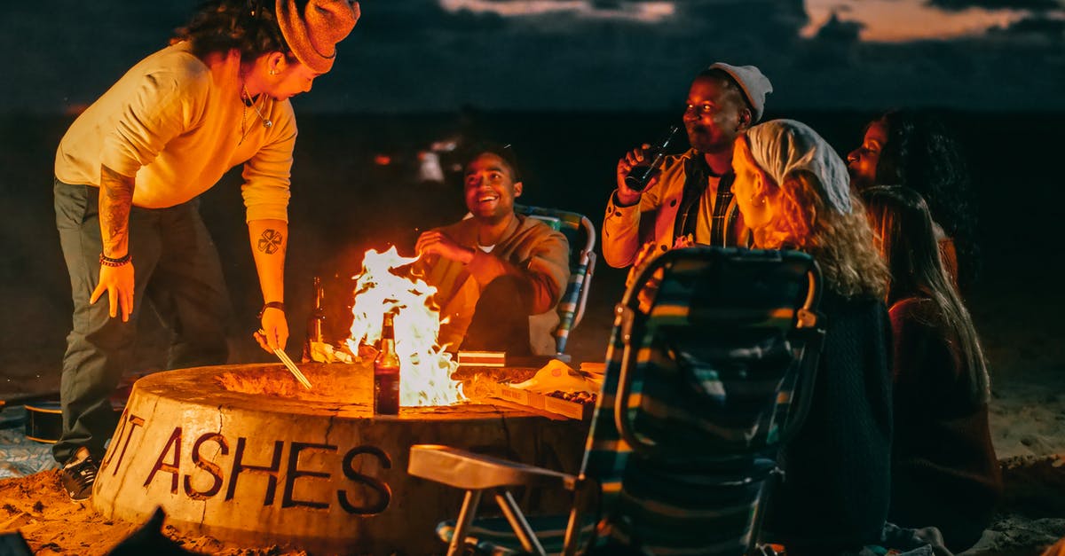 What should be burned to get ashes in Don't Starve? - Group of Friends Sitting in Front of Fire Pit